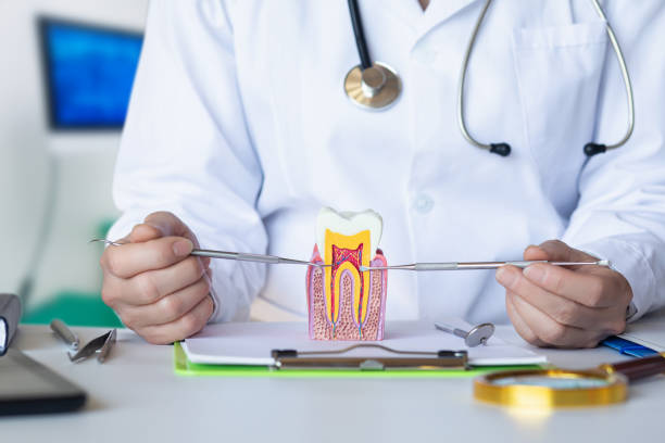 Best Emergency Dental Extractions in Vauxhall, NJ